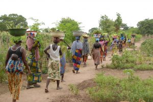 A long line of women walk down a dirt path carrying buckets of produce on their heads