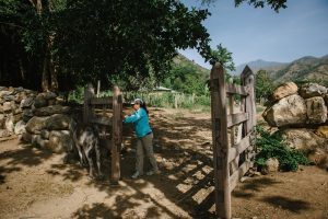 A woman opens a wooden gate in rural Colombia