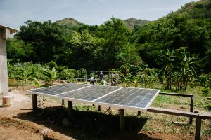 Solar panels are partially installed in a jungle