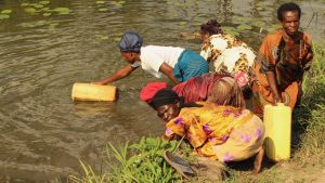 Five women fill water containers from a pond for drinking