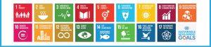 Tile banner image of the 17 UN Sustainable Development Goals