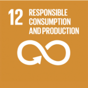 SDG 12 responsible consumption and production icon