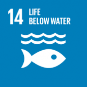 SDG 14 life below water icon