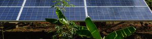 Solar panels in Colombia feed energy to an Arhuaco community