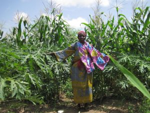 Woman reaches out to touch the crops in a Solar Market Garden from the Solar Electric Light Fund (SELF)