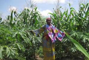 Woman stands in a field with crops grown using solar powered water systems